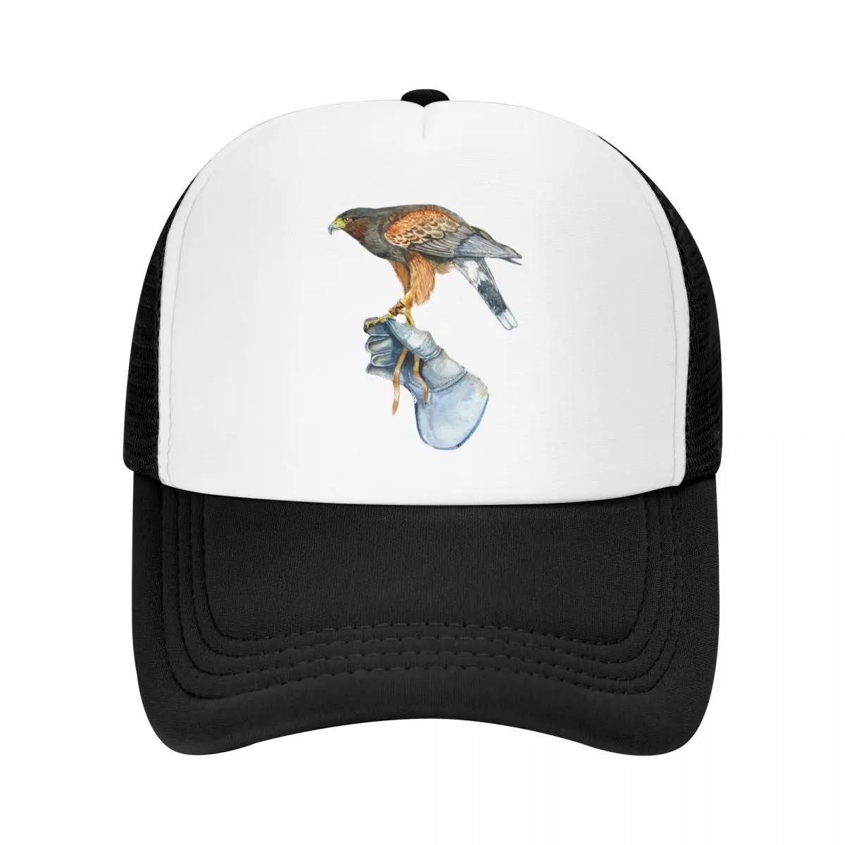 ظ ۷ Ʈ  , Falconry Austringer Hawk ޽ ׹ ߱ ,      , ƮƮ
